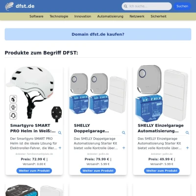 Screenshot dfst.de