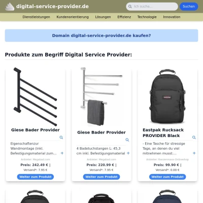 Screenshot digital-service-provider.de