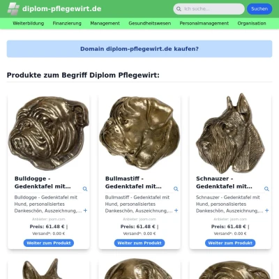 Screenshot diplom-pflegewirt.de