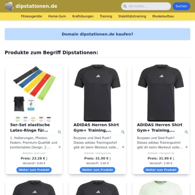 Screenshot dipstationen.de