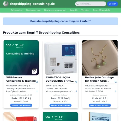 Screenshot dropshipping-consulting.de