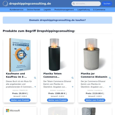 Screenshot dropshippingconsulting.de