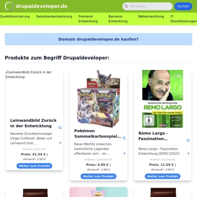 Screenshot drupaldeveloper.de