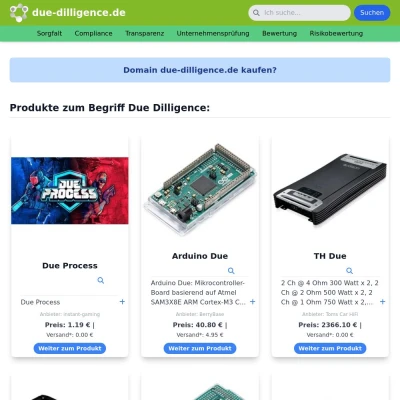 Screenshot due-dilligence.de