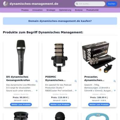 Screenshot dynamisches-management.de