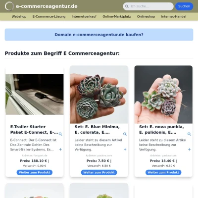 Screenshot e-commerceagentur.de