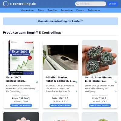 Screenshot e-controlling.de