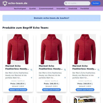 Screenshot echo-team.de