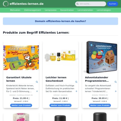 Screenshot effizientes-lernen.de