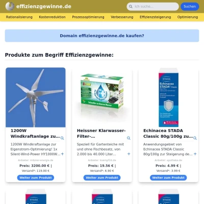 Screenshot effizienzgewinne.de