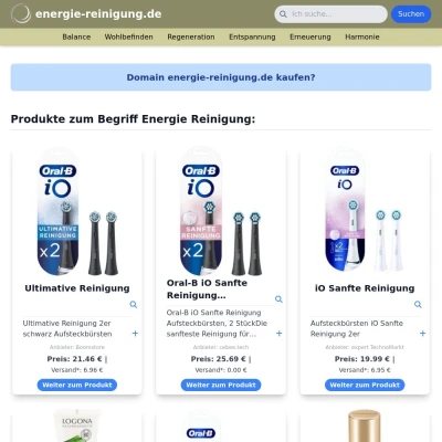 Screenshot energie-reinigung.de