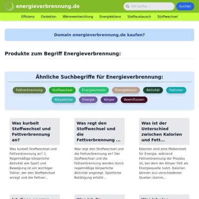 Screenshot energieverbrennung.de