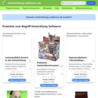 Screenshot entwicklung-software.de