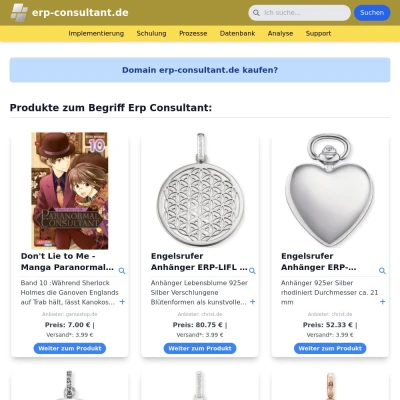 Screenshot erp-consultant.de