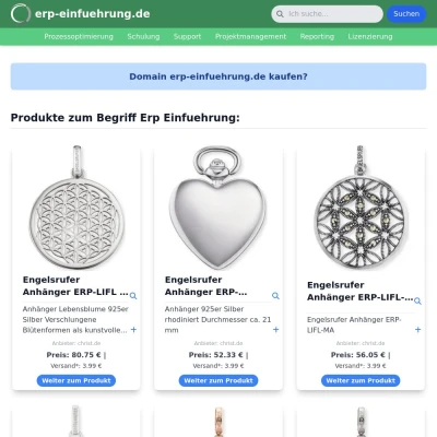 Screenshot erp-einfuehrung.de