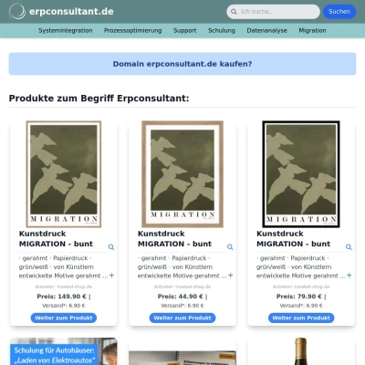 Screenshot erpconsultant.de