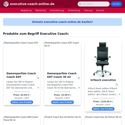 Screenshot executive-coach-online.de