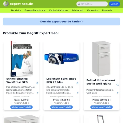 Screenshot expert-seo.de