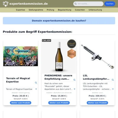 Screenshot expertenkommission.de