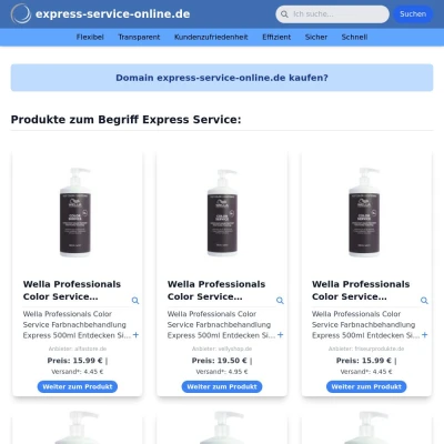 Screenshot express-service-online.de