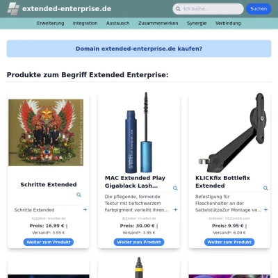 Screenshot extended-enterprise.de