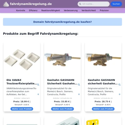 Screenshot fahrdynamikregelung.de