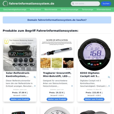 Screenshot fahrerinformationssystem.de