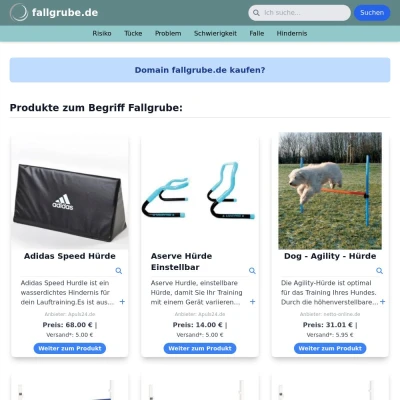 Screenshot fallgrube.de