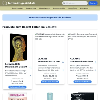 Screenshot falten-im-gesicht.de