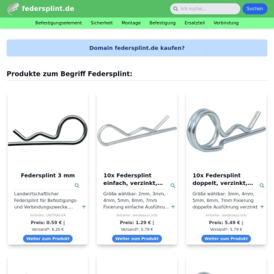 Screenshot federsplint.de
