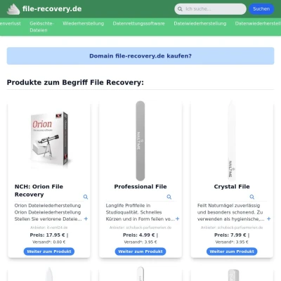 Screenshot file-recovery.de