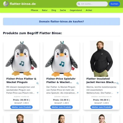 Screenshot flatter-binse.de
