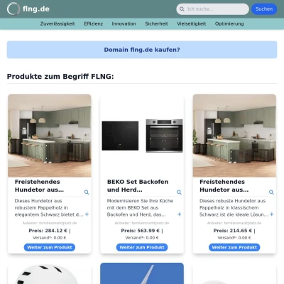 Screenshot flng.de