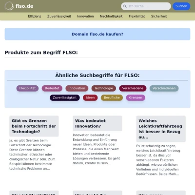 Screenshot flso.de