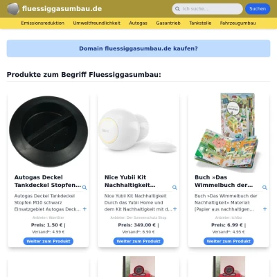 Screenshot fluessiggasumbau.de