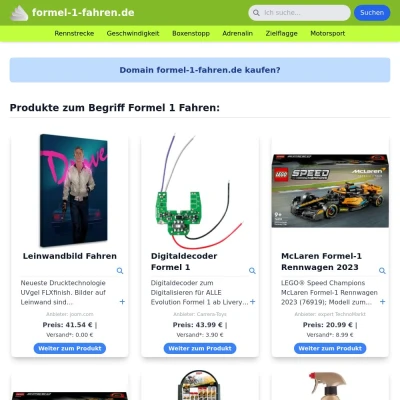 Screenshot formel-1-fahren.de