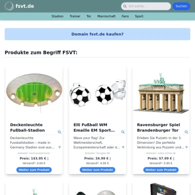 Screenshot fsvt.de