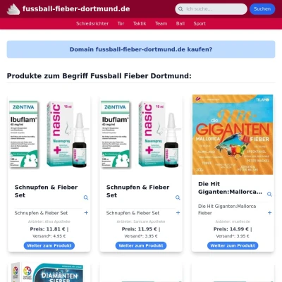 Screenshot fussball-fieber-dortmund.de