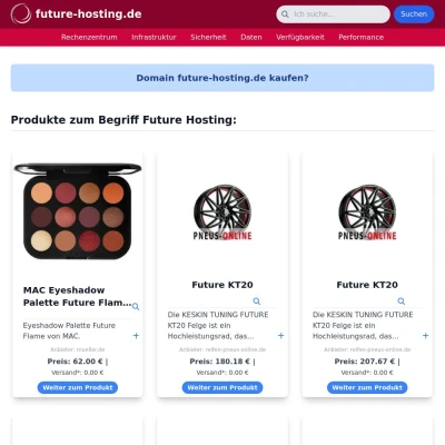 Screenshot future-hosting.de