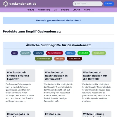 Screenshot gaskondensat.de