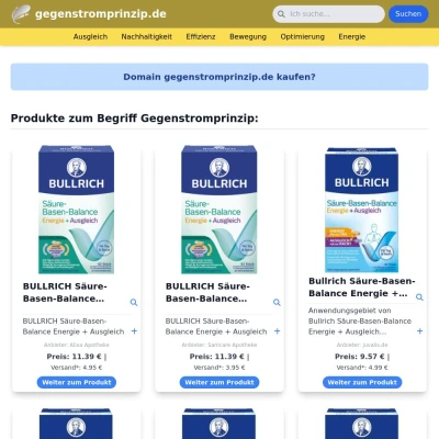 Screenshot gegenstromprinzip.de