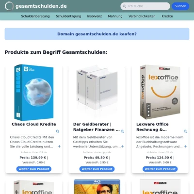 Screenshot gesamtschulden.de