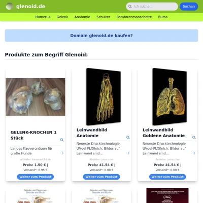 Screenshot glenoid.de