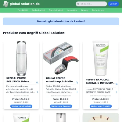 Screenshot global-solution.de