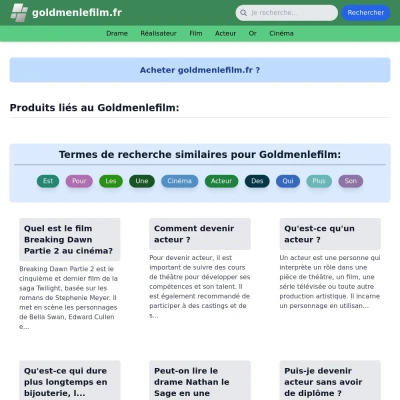 Screenshot goldmenlefilm.fr