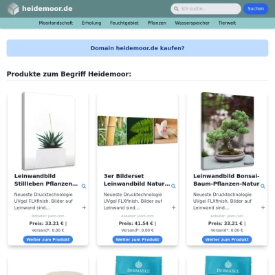Screenshot heidemoor.de