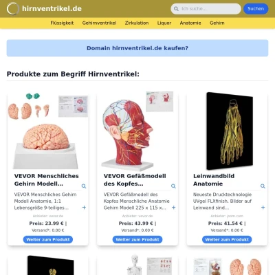Screenshot hirnventrikel.de