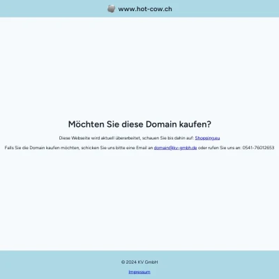 Screenshot hot-cow.ch