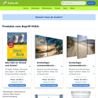 Screenshot hsea.de