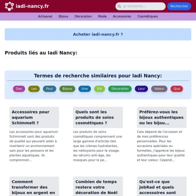 Screenshot iadi-nancy.fr